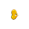 shiny (dorso)