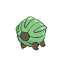 shiny (dorso)