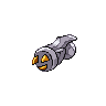shiny (dorso)