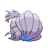 shiny (dorso)
