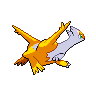 shiny (dorso)