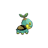 shiny (dorso)