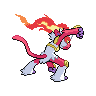 shiny (dorso)