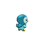 shiny (dorso)