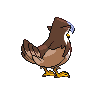 shiny (dorso)
