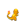 shiny (dorso)