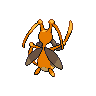 shiny (dorso)