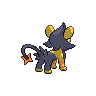 shiny (dorso)