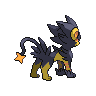 shiny (dorso)