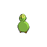 shiny (dorso)