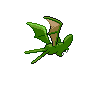 shiny (dorso)