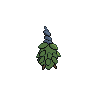 shiny (dorso)
