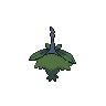 shiny (dorso)