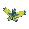 shiny (dorso)