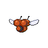 shiny (dorso)