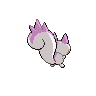 shiny (dorso)