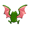 shiny (dorso)
