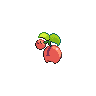 shiny (dorso)