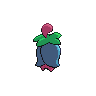 shiny (dorso)