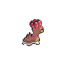 shiny (dorso)