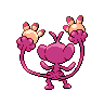 shiny (dorso)