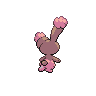 shiny (dorso)