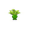 shiny (dorso)