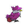 shiny (dorso)