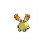 shiny (dorso)