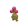 shiny (dorso)