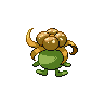 shiny (dorso)