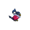 shiny (dorso)