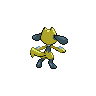 shiny (dorso)