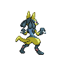 shiny (dorso)