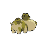 shiny (dorso)