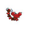 shiny (dorso)