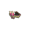 shiny (dorso)