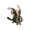 shiny (dorso)