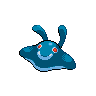 shiny (dorso)