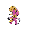 shiny (dorso)