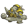 shiny (dorso)