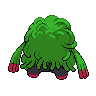 shiny (dorso)