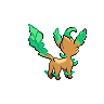 shiny (dorso)