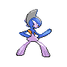 shiny (dorso)
