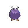 shiny (dorso)