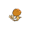 shiny (dorso)