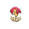 shiny (dorso)
