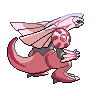 shiny (dorso)