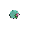 shiny (dorso)