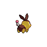 shiny (dorso)
